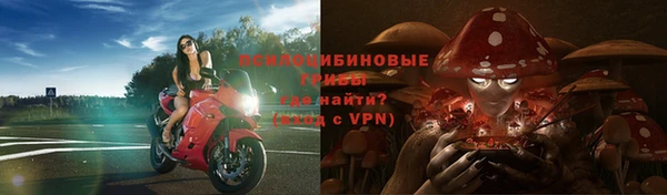 твердый Арсеньев