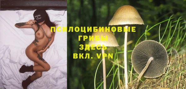 дурь Аркадак