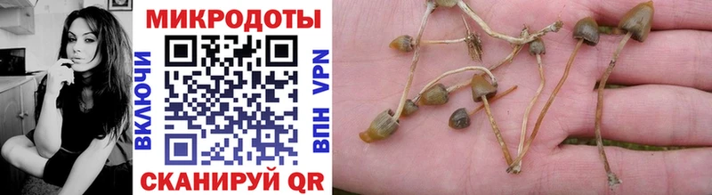 Галлюциногенные грибы Magic Shrooms  Солнечногорск 
